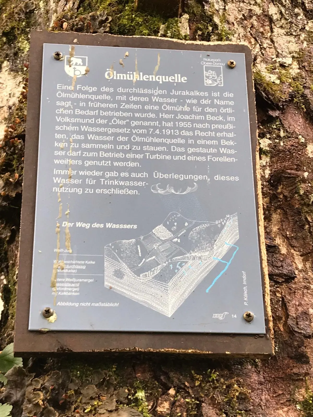 © DAV Tuttlingen/Norbert Münch