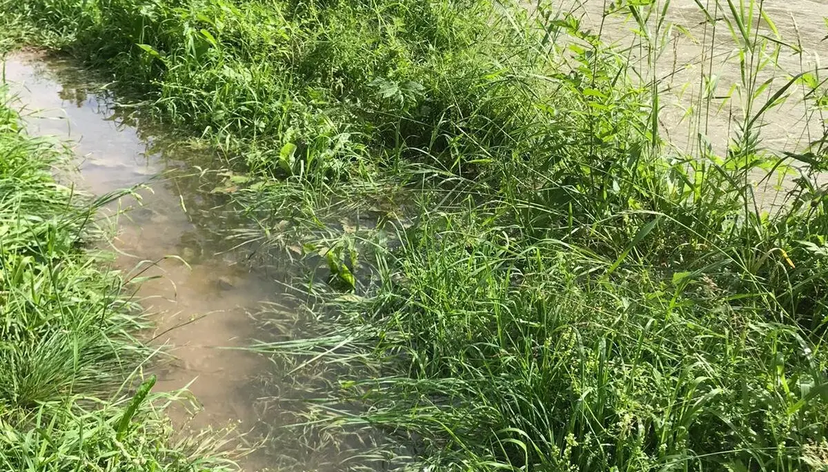 © DAV Tuttlingen/Norbert Münch