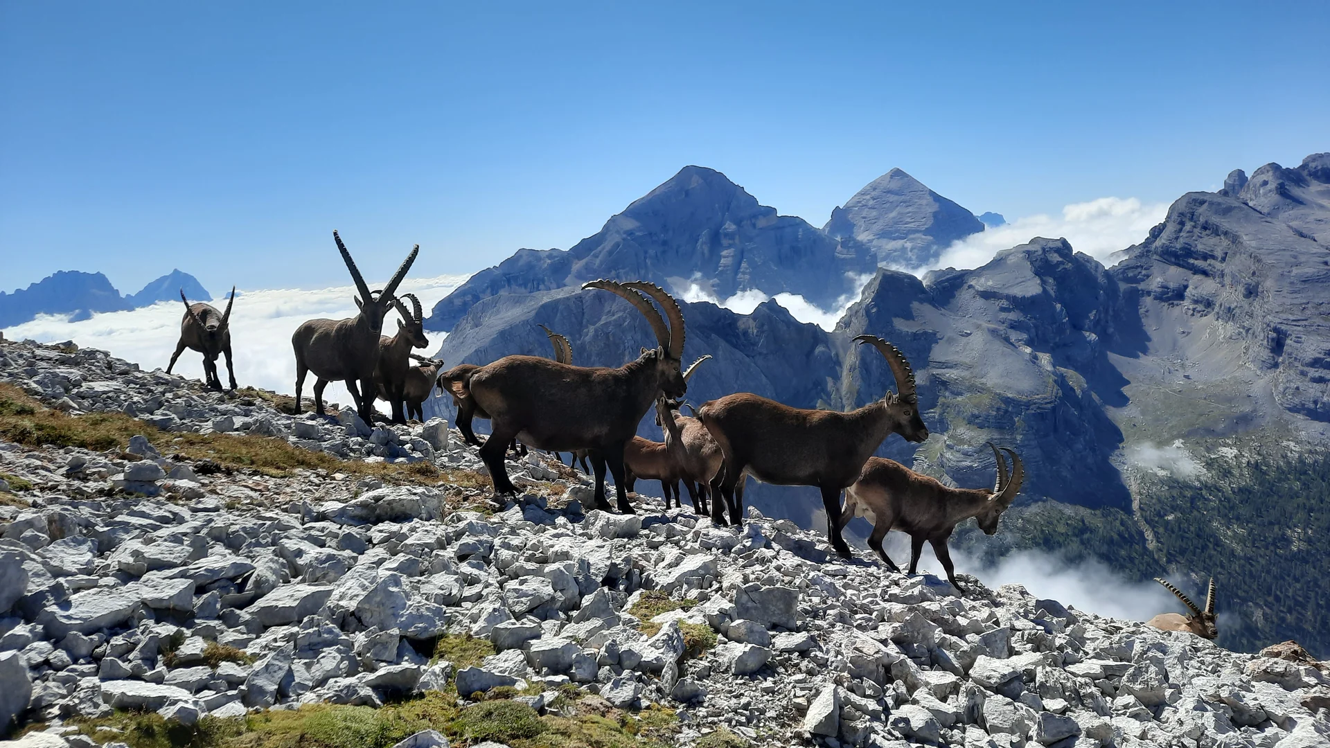 © DAV Tuttlingen/Juergen Epple