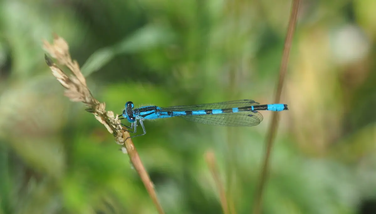 © DAV Tuttlingen/Sebastian Huber