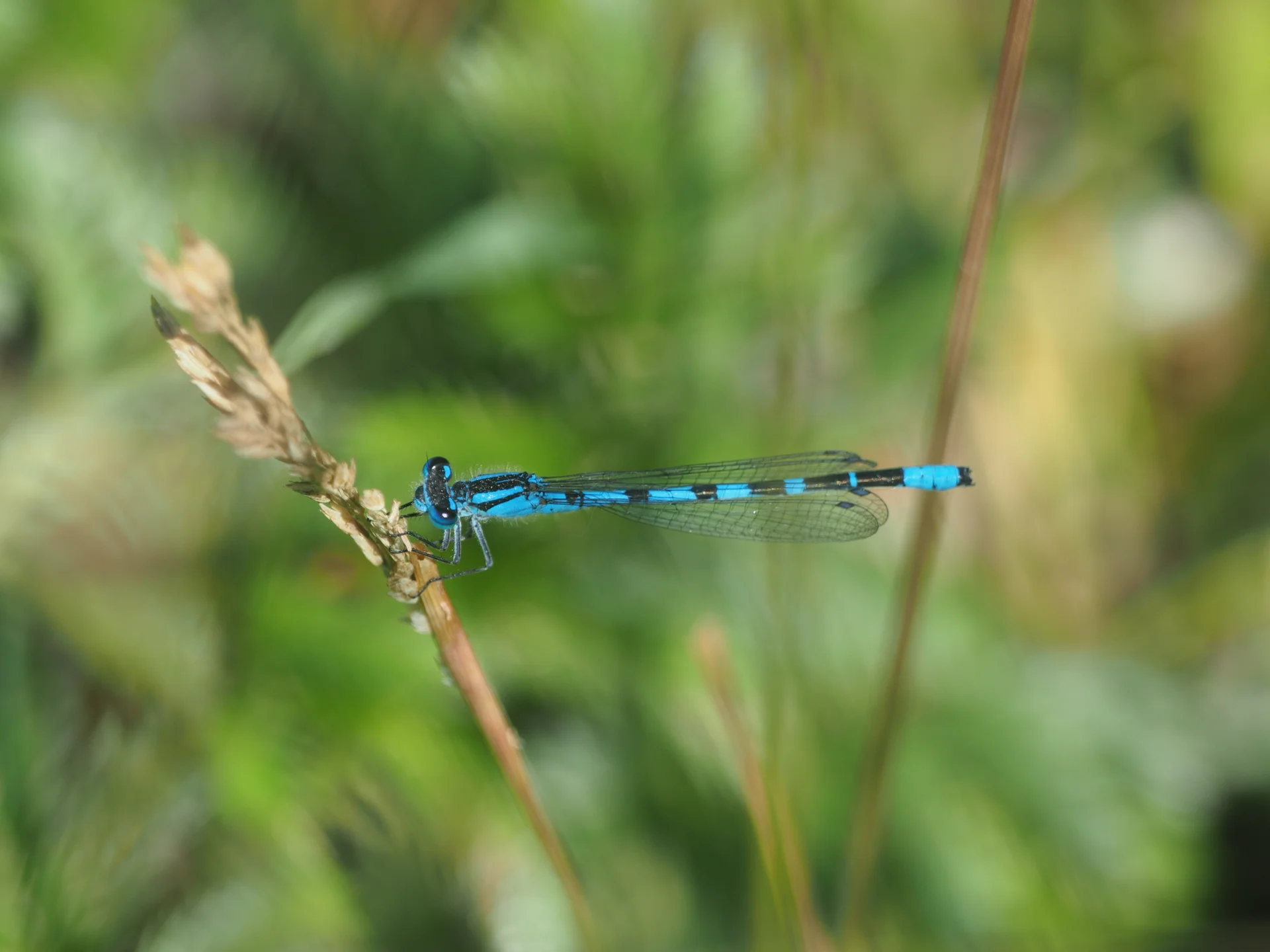 © DAV Tuttlingen/Sebastian Huber