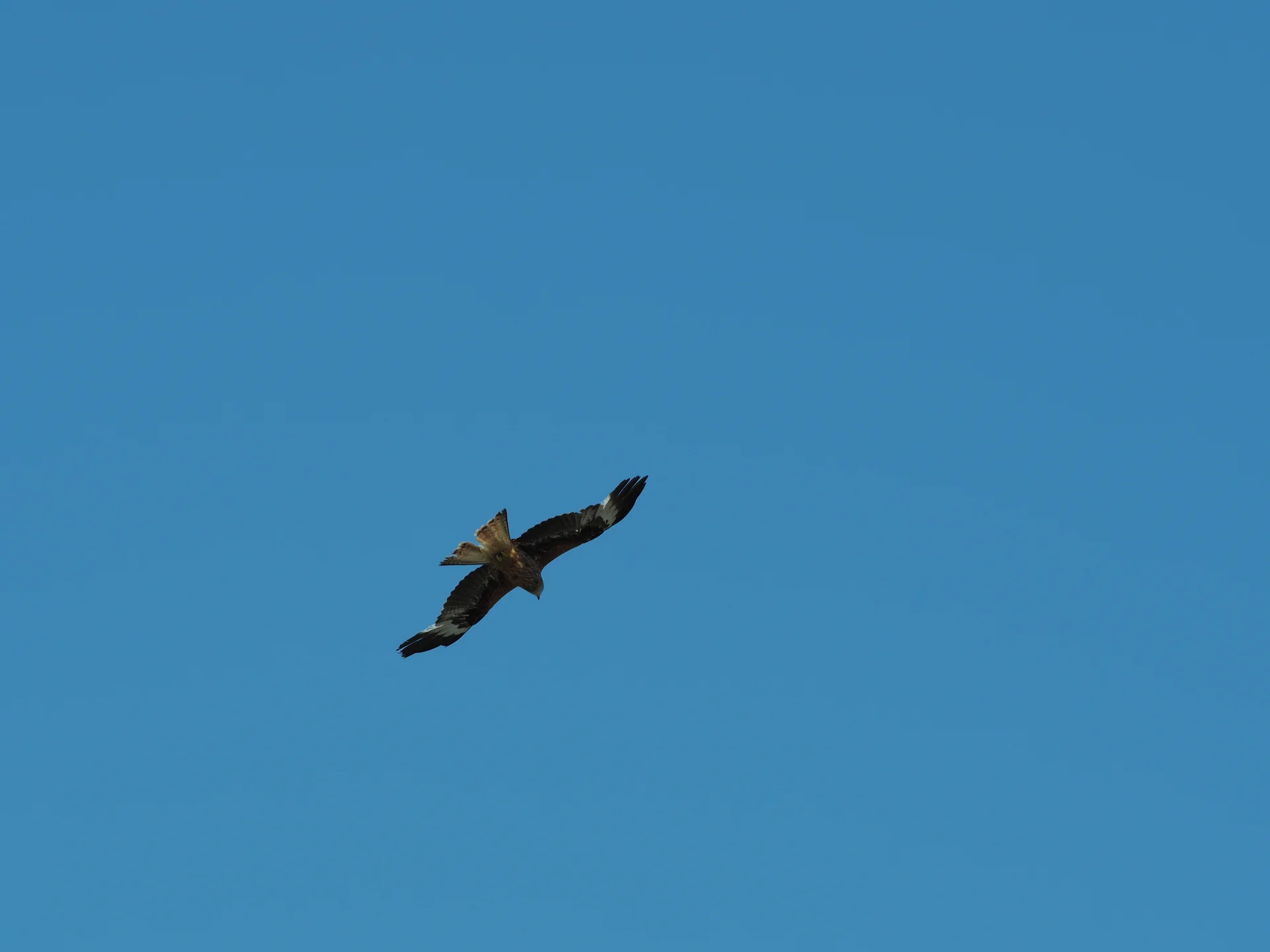 © DAV Tuttlingen/Sebastian Huber