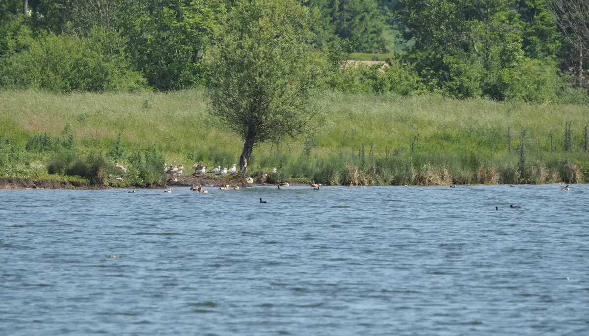 © DAV Tuttlingen/Sebastian Huber