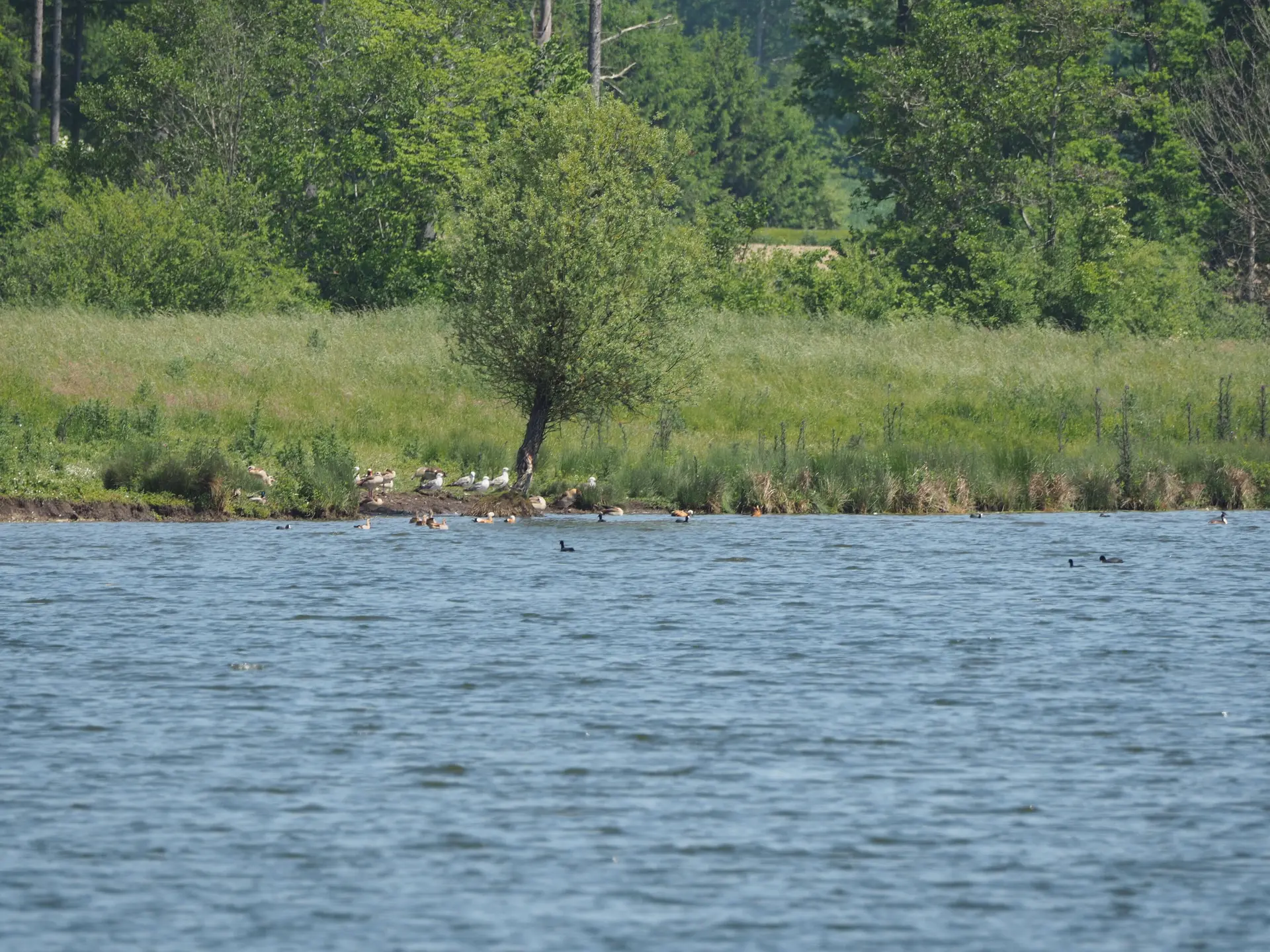 © DAV Tuttlingen/Sebastian Huber