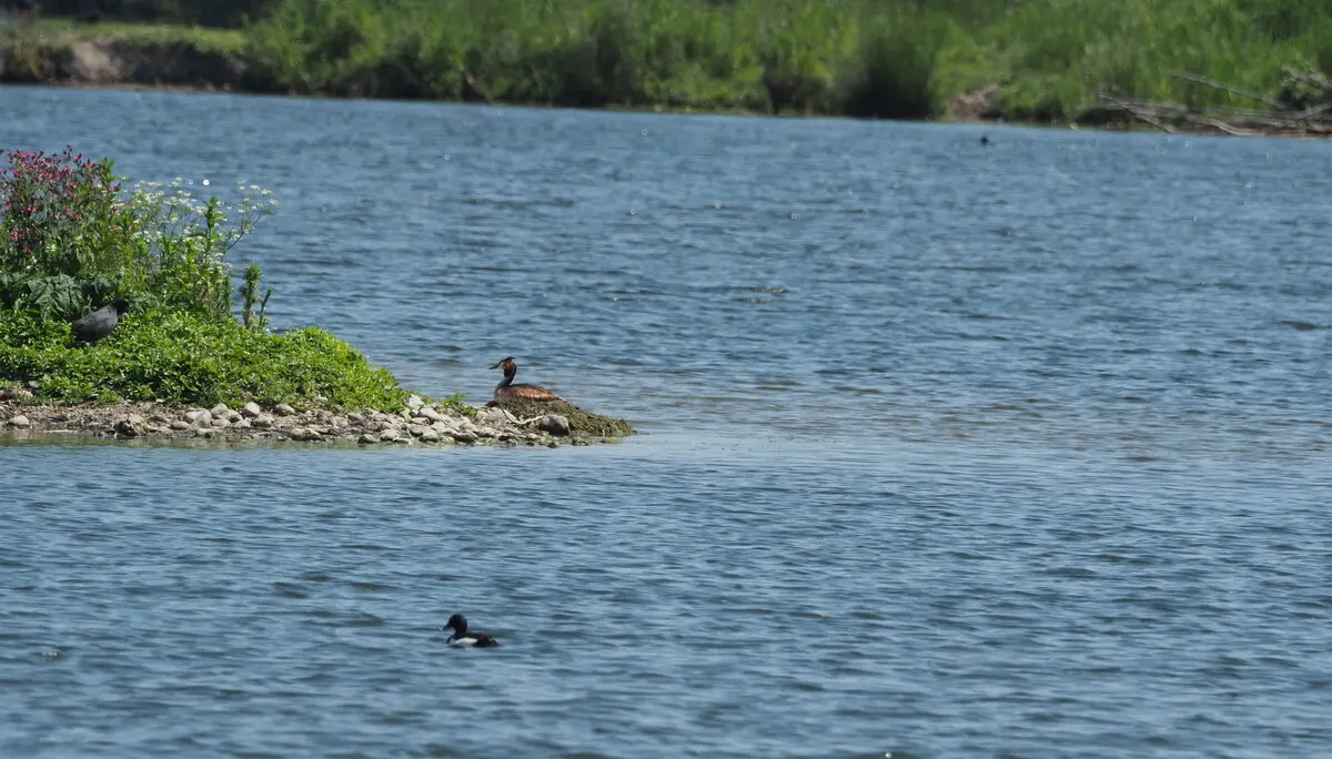 © DAV Tuttlingen/Sebastian Huber