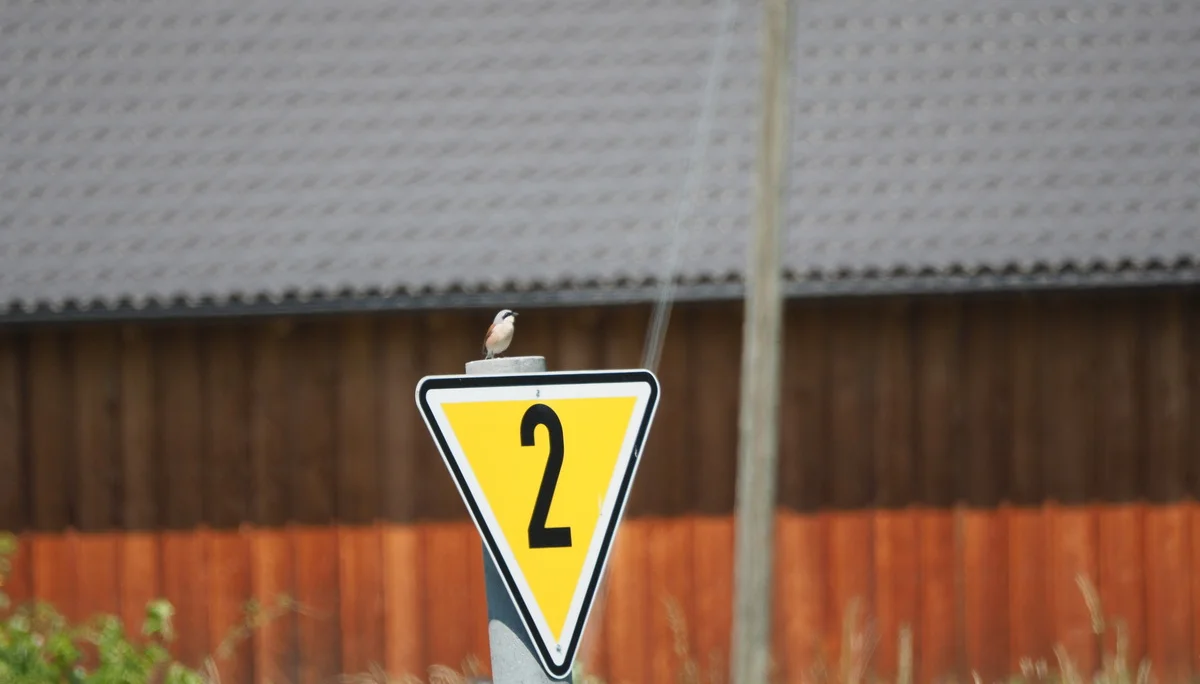 © DAV Tuttlingen/Sebastian Huber