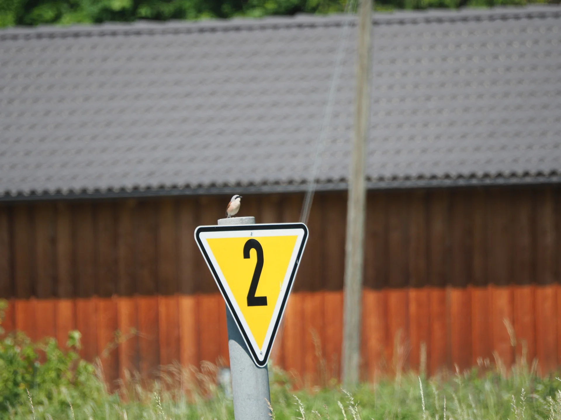 © DAV Tuttlingen/Sebastian Huber