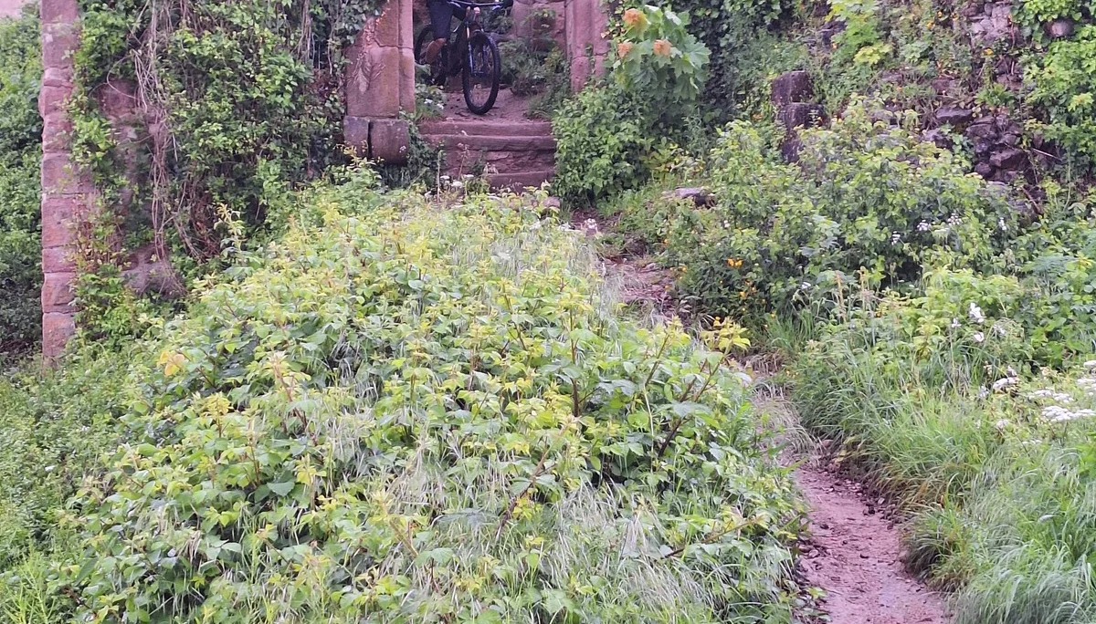 © DAV Tuttlingen/Henrik Basler