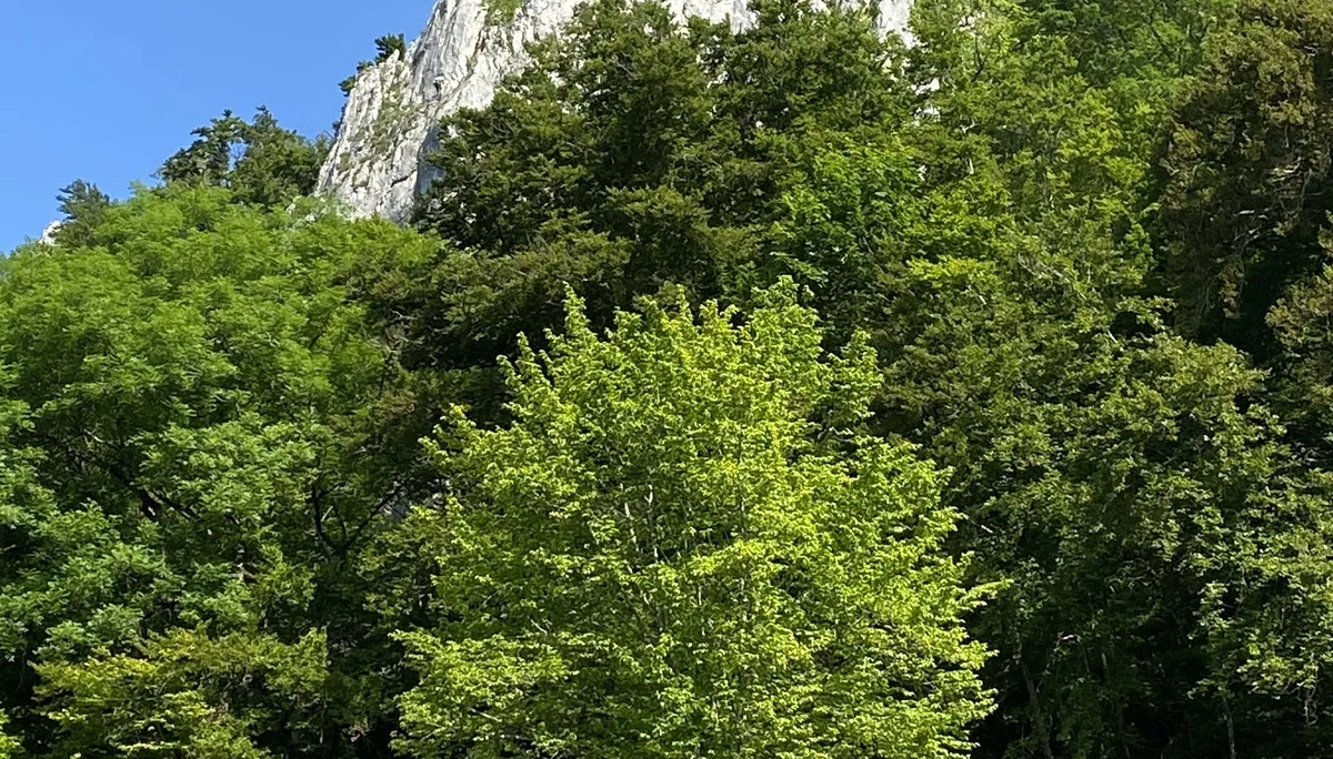 © DAV Tuttlingen/Martin Gienger