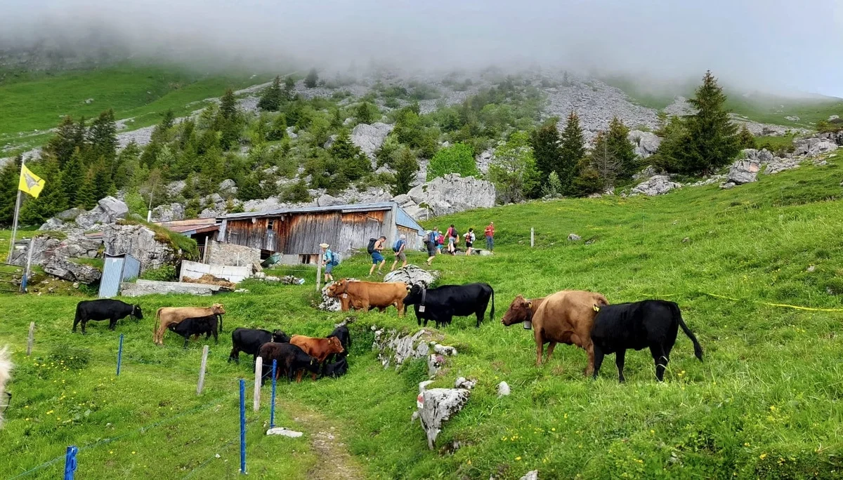 © DAV Tuttlingen/Hendrikje Kopf