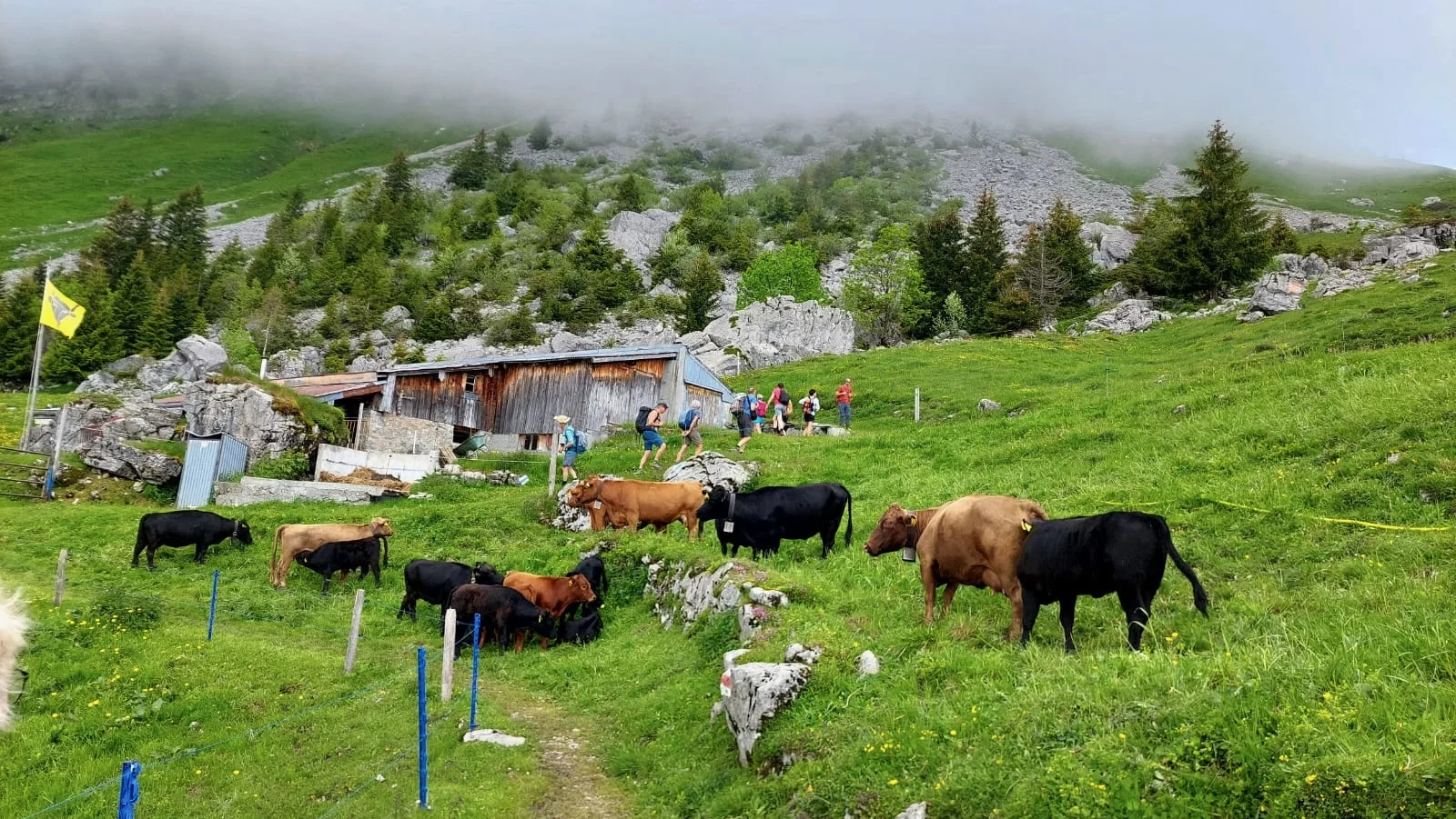 © DAV Tuttlingen/Hendrikje Kopf