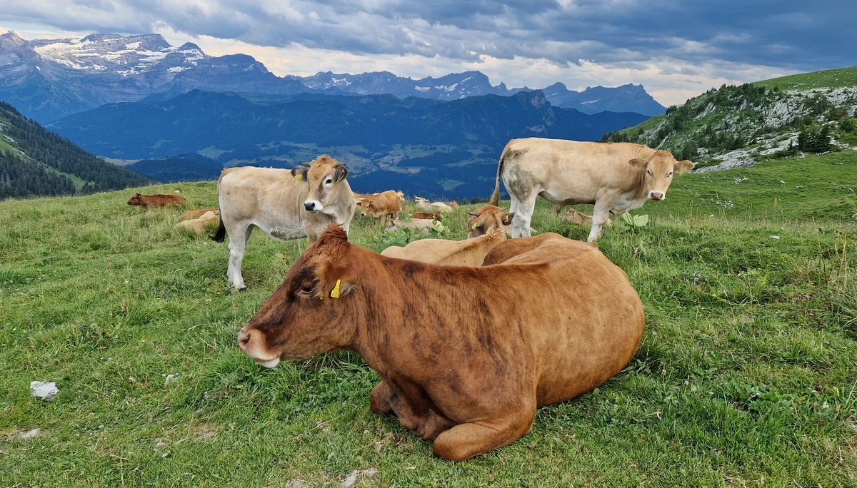 © DAV Tuttlingen/Sabine Krauss