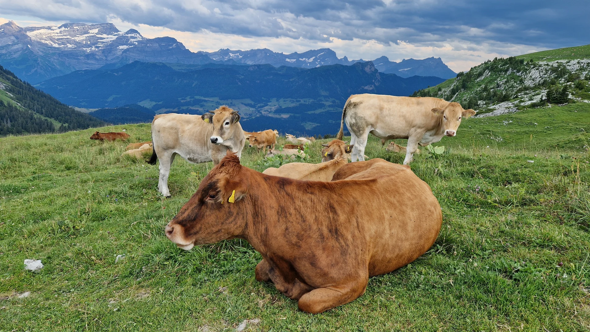 © DAV Tuttlingen/Sabine Krauss