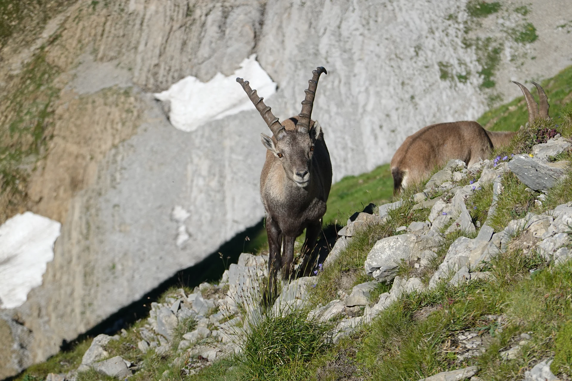 DAV Sommertouren 2024: Lohnende Ziele im Alpstein | © DAV Tuttlingen / Hendrikje Kopf