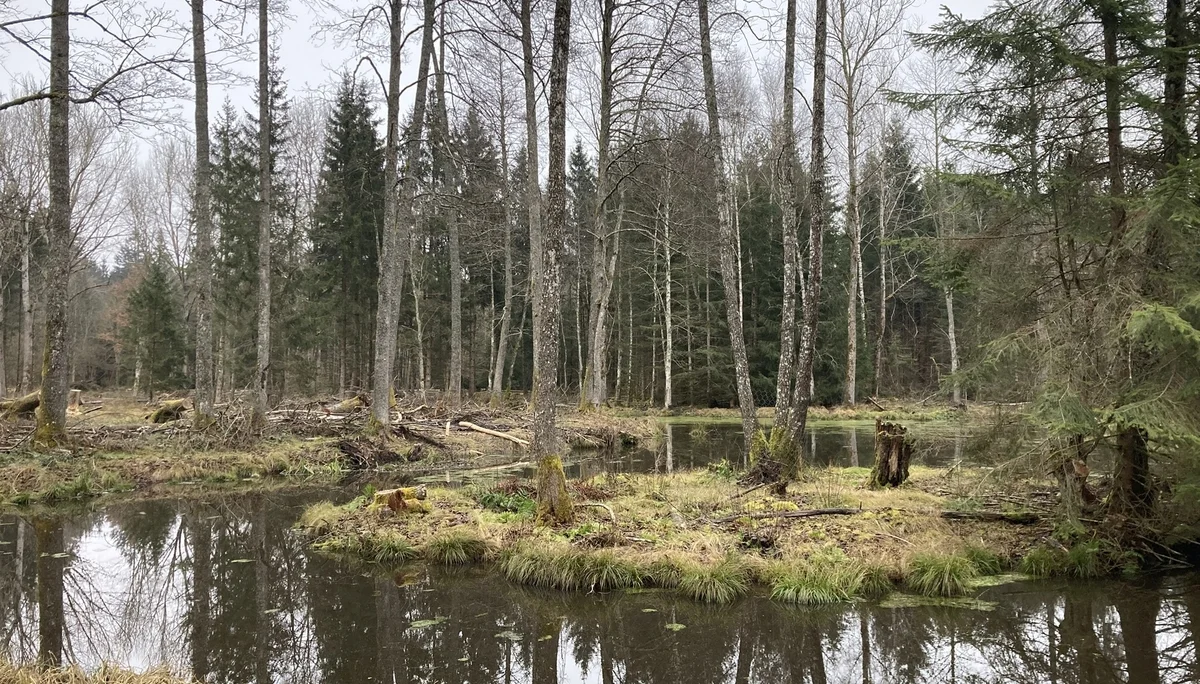 © DAV Tuttlingen/ Norbert Münch