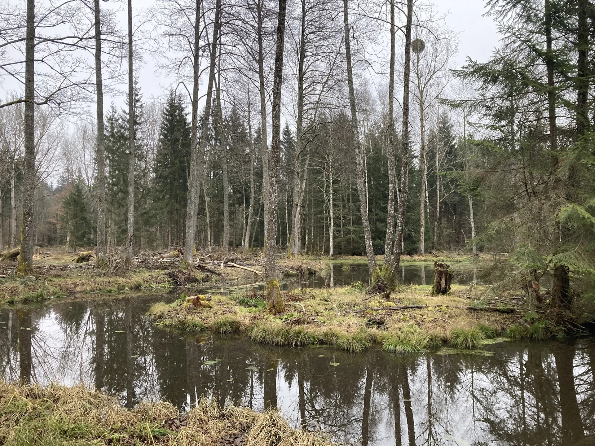 © DAV Tuttlingen/ Norbert Münch