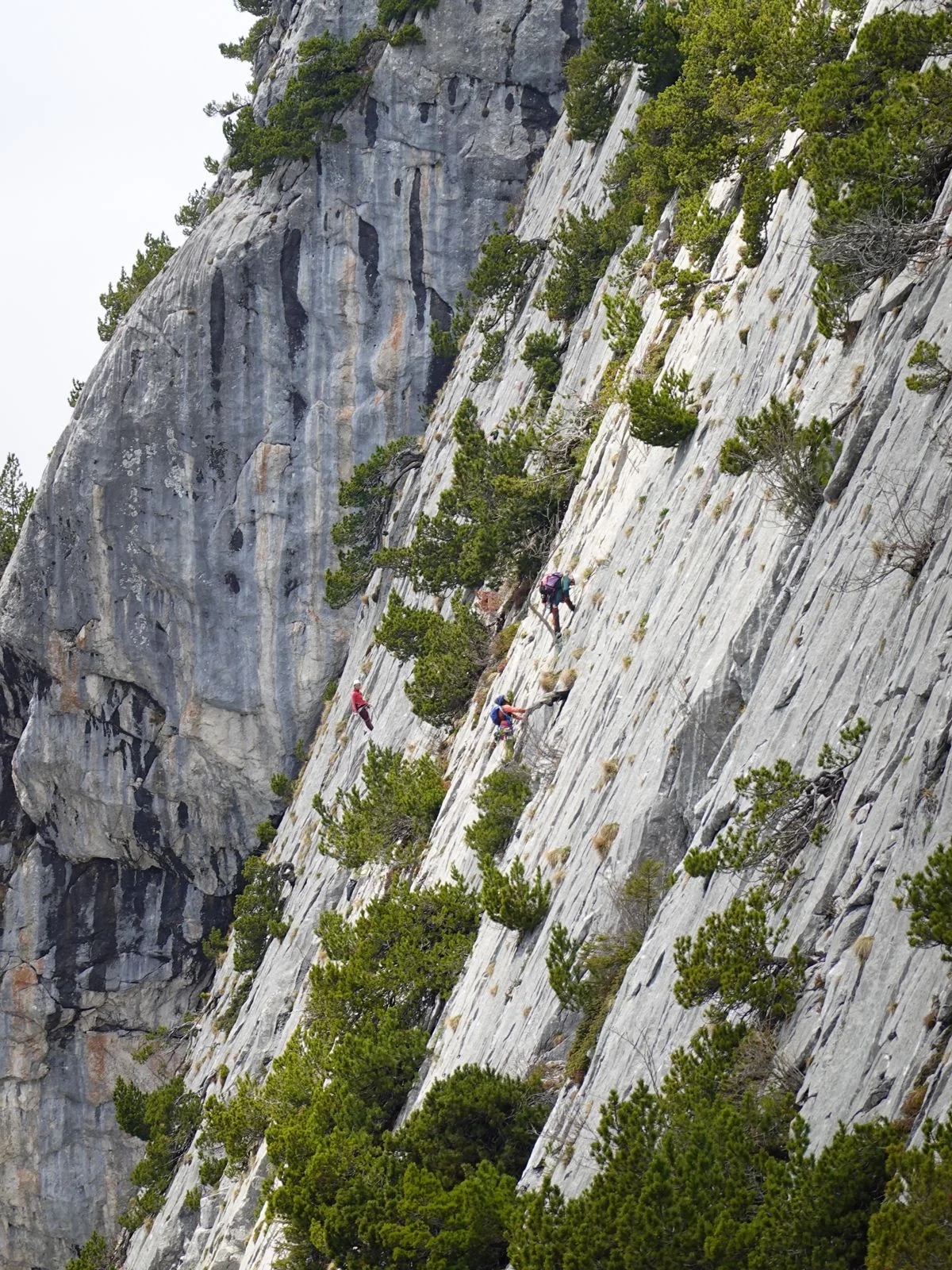 © DAV Tuttlingen/Kirsten Klein