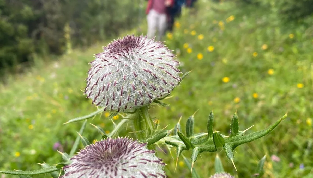 © DAV Tuttlingen/B. Rudischhauser