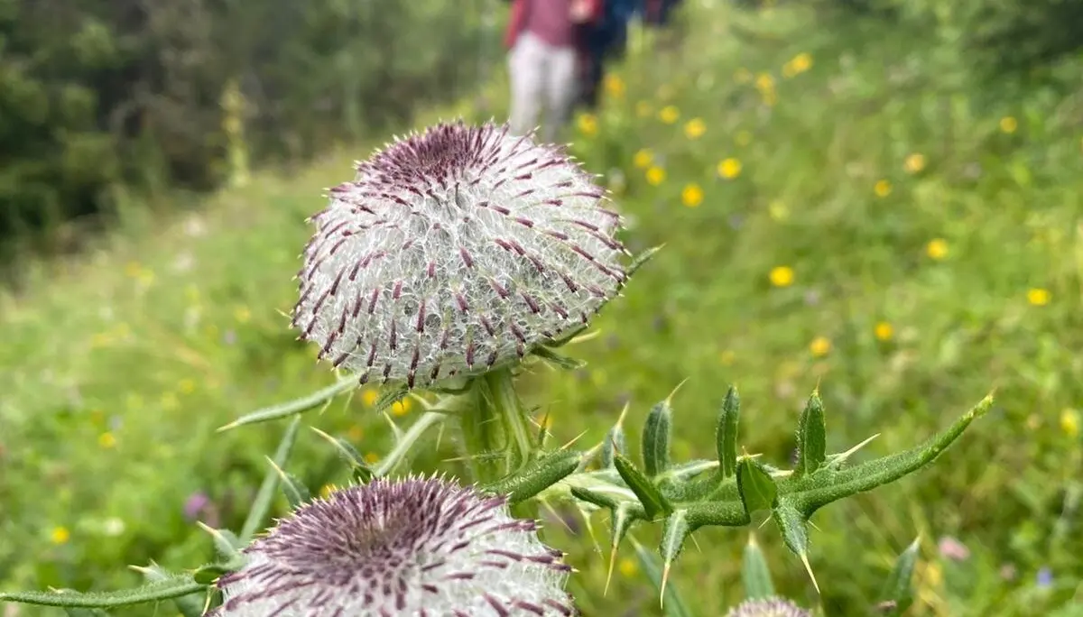 © DAV Tuttlingen/B. Rudischhauser