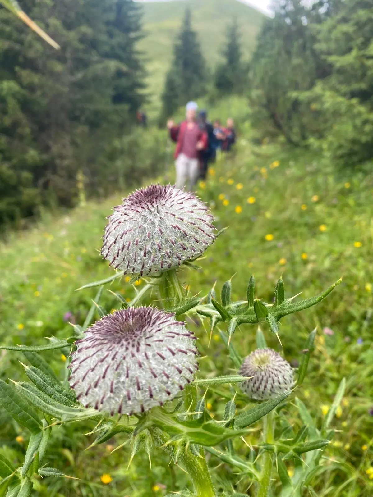 © DAV Tuttlingen/B. Rudischhauser