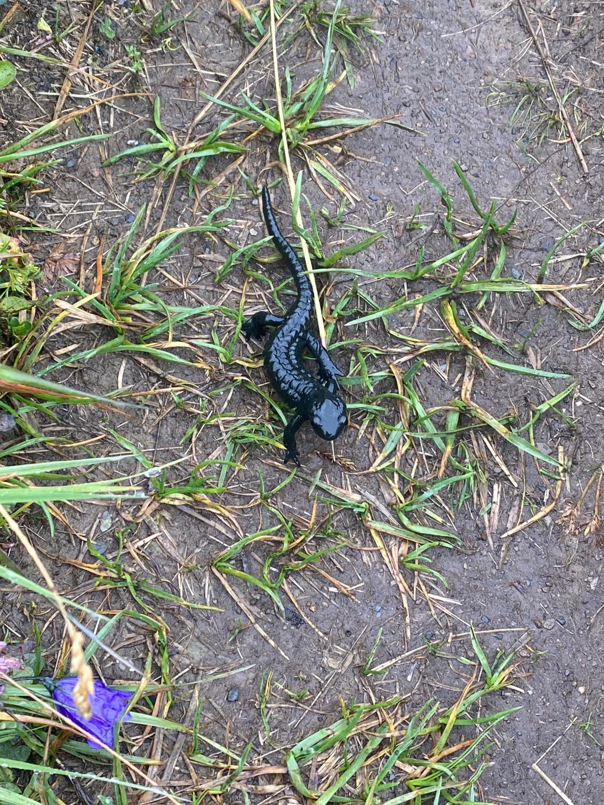 © DAV Tuttlingen/B. Rudischhauser