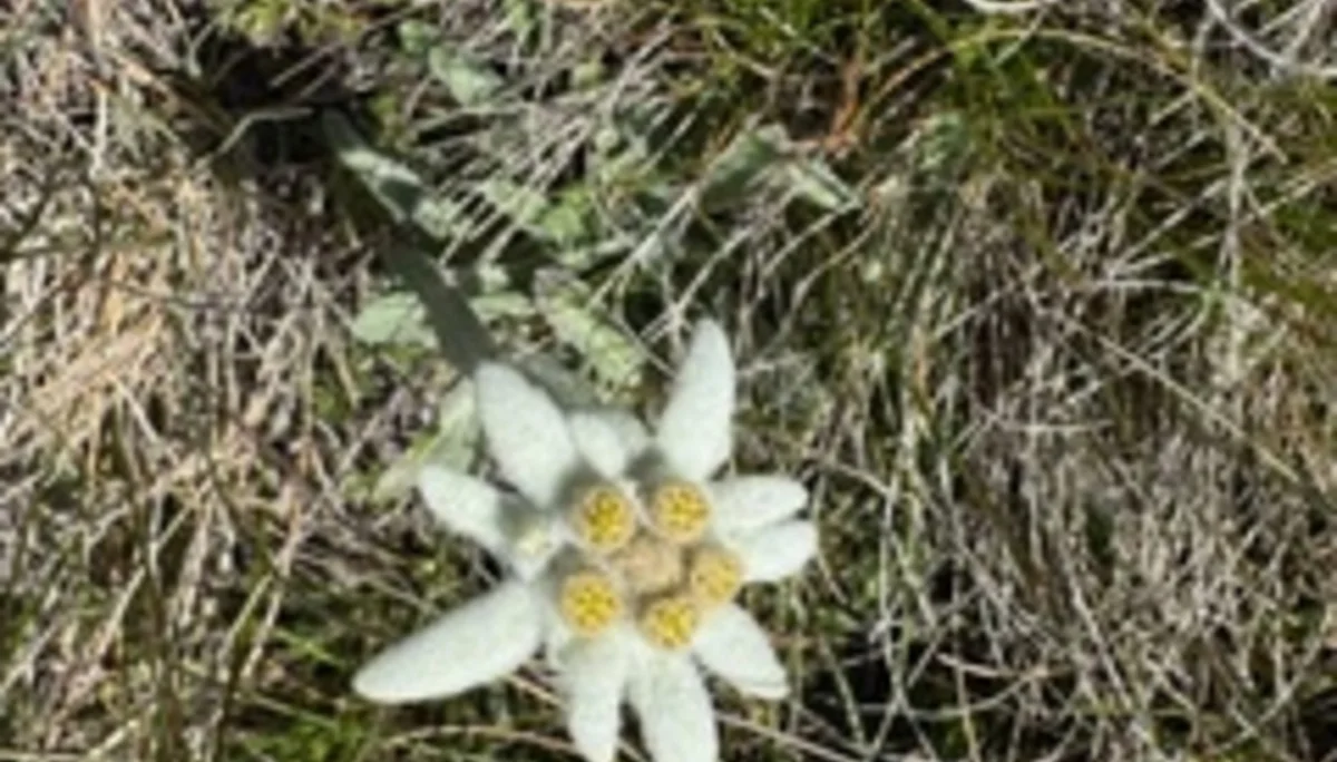 © DAV Tuttlingen/Hendrikje Kopf