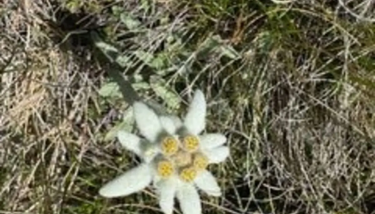 © DAV Tuttlingen/Hendrikje Kopf