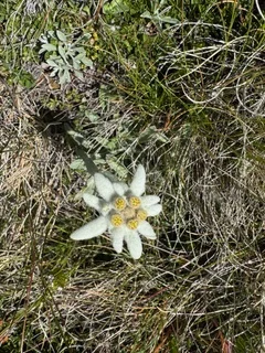 © DAV Tuttlingen/Hendrikje Kopf