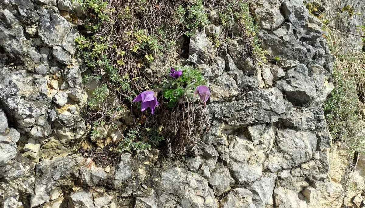 © DAV Tuttlingen/Reiner Hermann