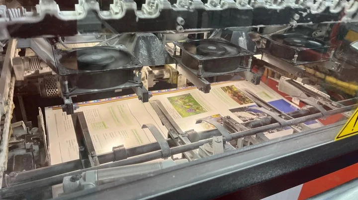 © Typodruck /  A. B. 