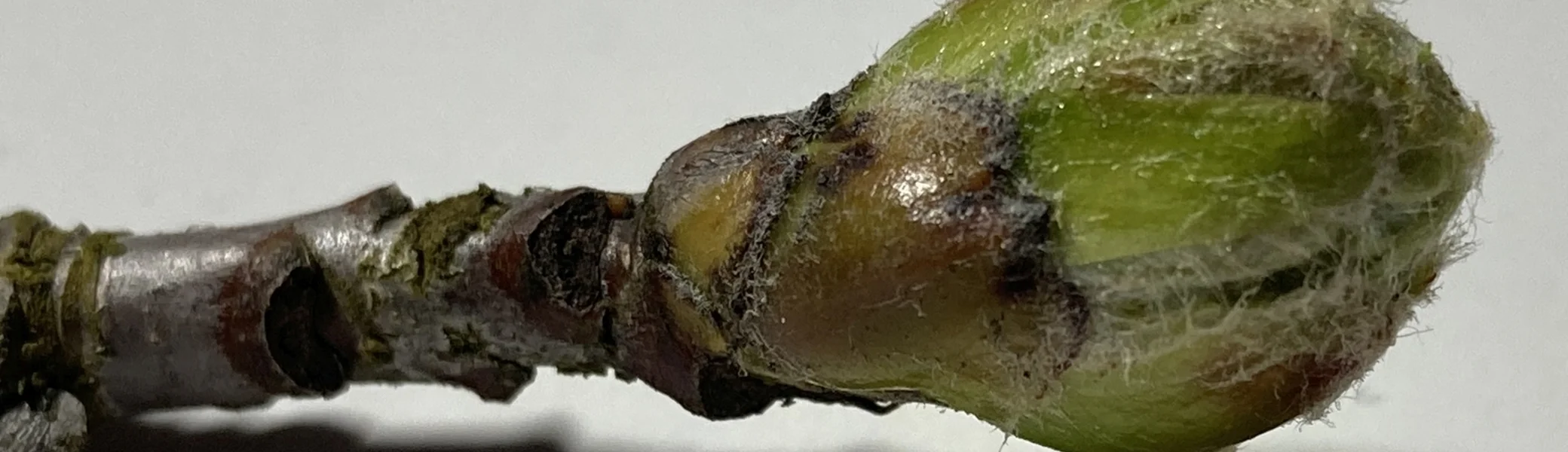 © DAV Sektion Tuttlingen/ Norbert Münch