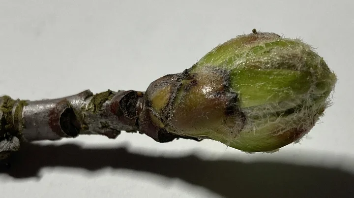 © DAV Sektion Tuttlingen/ Norbert Münch