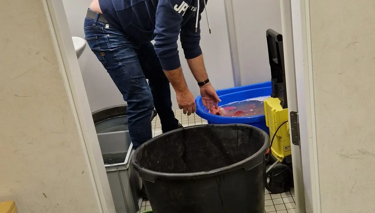 © DAV Tuttlingen/S. Krauss