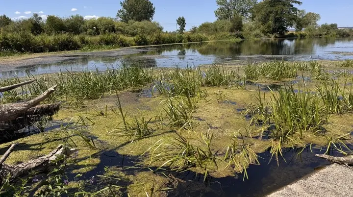 Flussaue | © DAV Tuttlingen/Norbert Münch