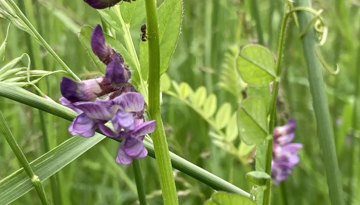 © DAV Tuttlingen/Norbert Muench