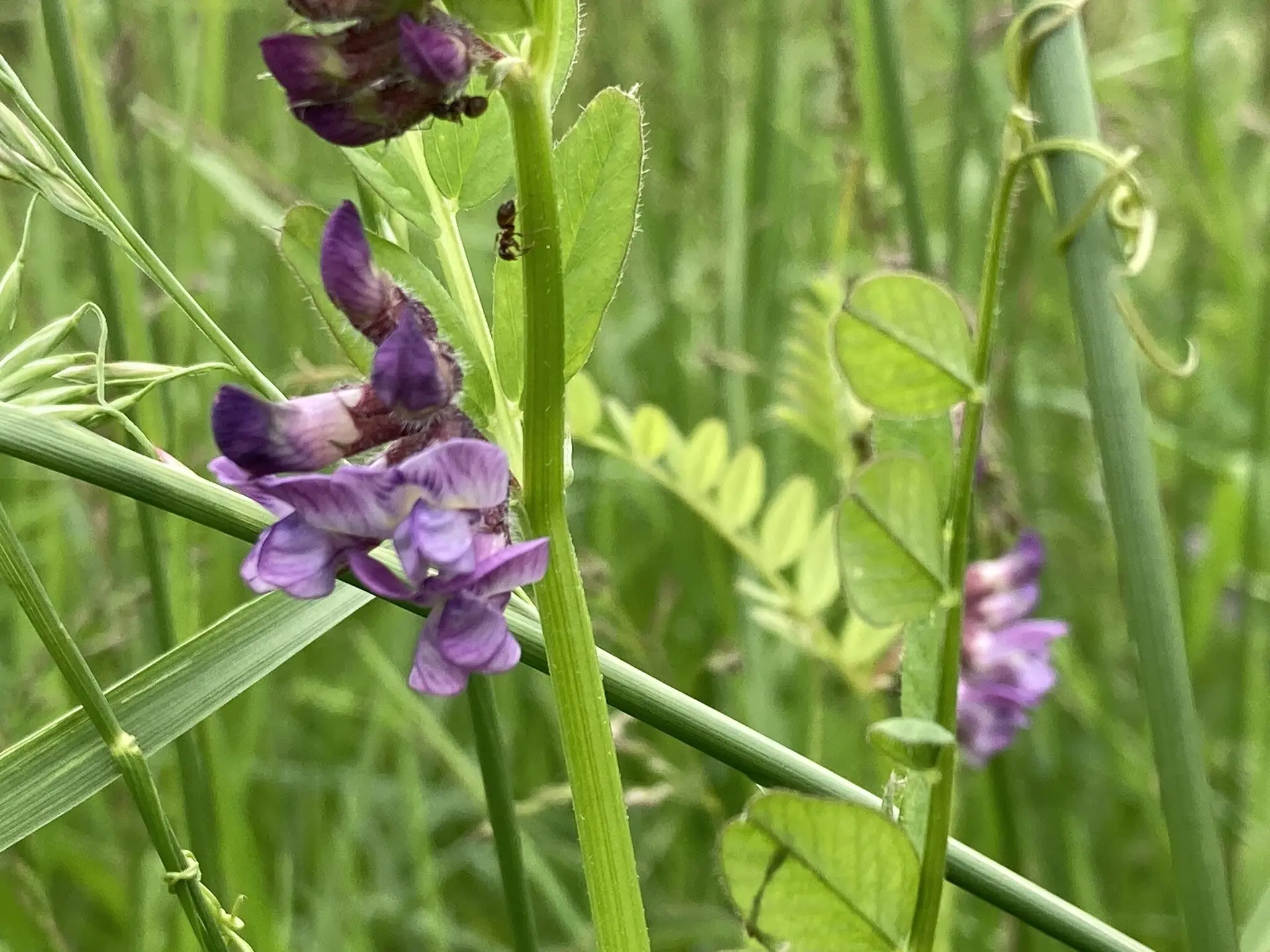 © DAV Tuttlingen/Norbert Muench