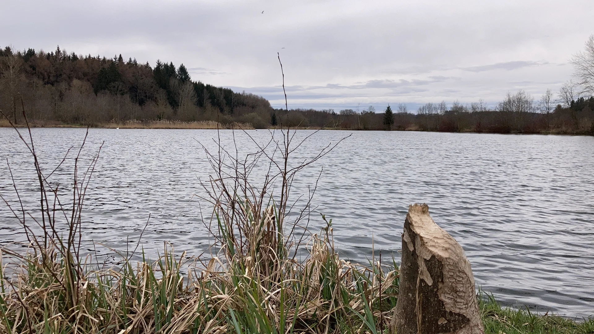 © DAV Tuttlingen/Norbert Muench