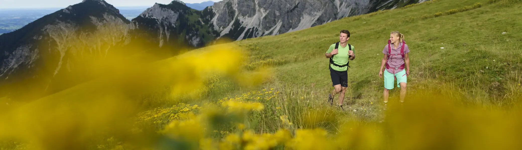 Wanderer im Frühling gehen über eine blühende Wise | © DAV / Wolfgang Ehn